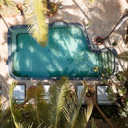 Altr Nativ Morjim, Goa Hostel Екстериор снимка