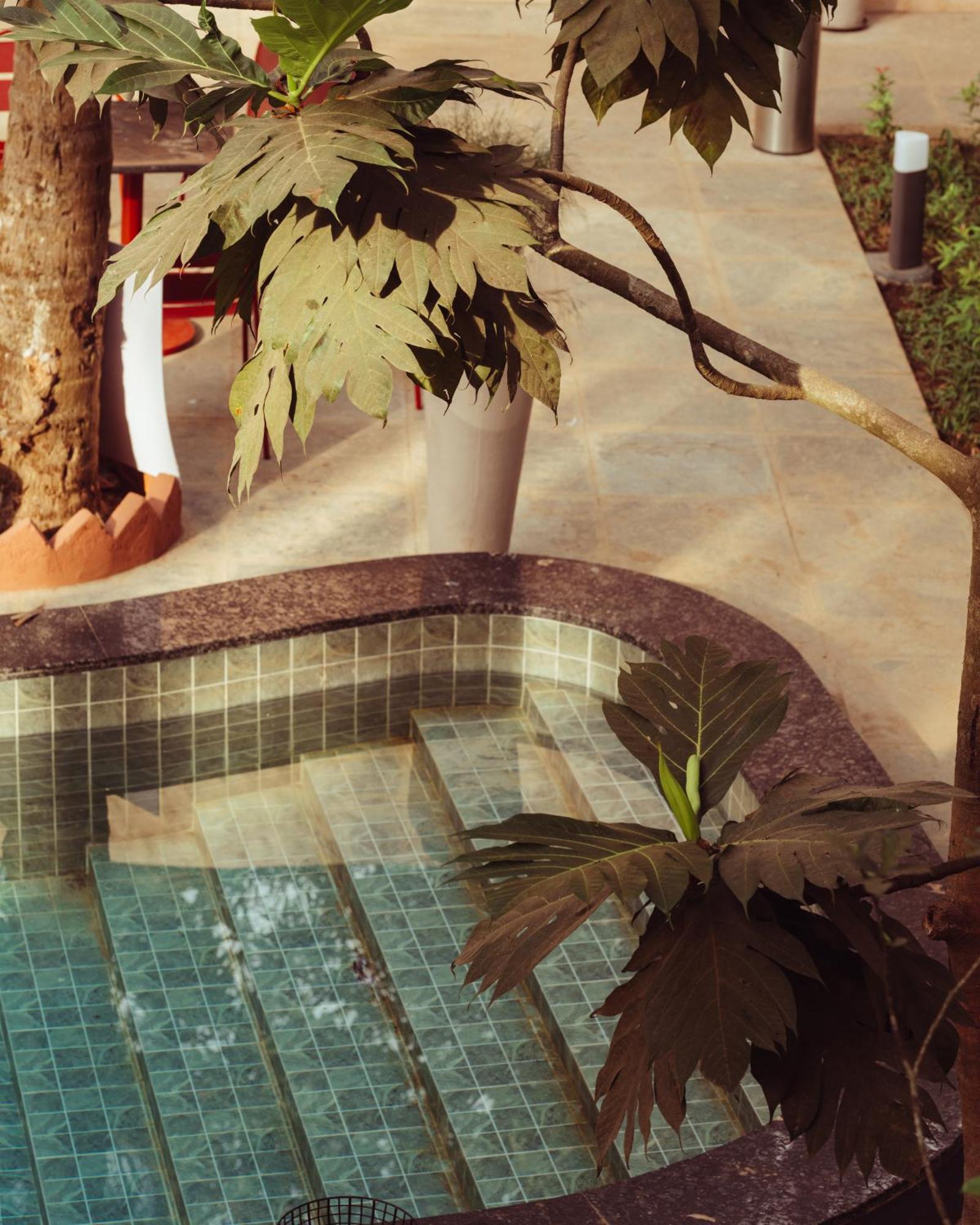Altr Nativ Morjim, Goa Hostel Екстериор снимка